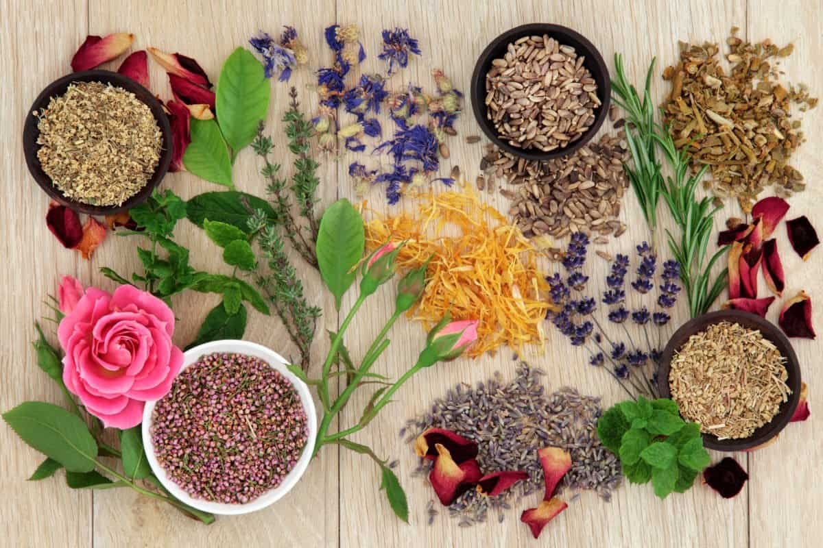 Naturopatía: todo lo que debes saber sobre la medicina natural