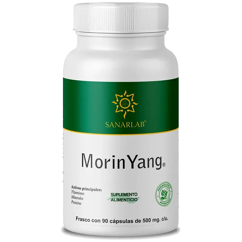 Morin Yang - El Suplemento Natural de Moringa para Potenciar el Sistema Inmunológico y Mejorar la Salud Digestiva